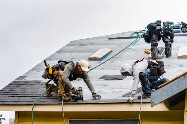 Professional Roofing technician working in Lincoln, ME